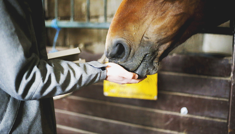 918������(�й���)�콢��