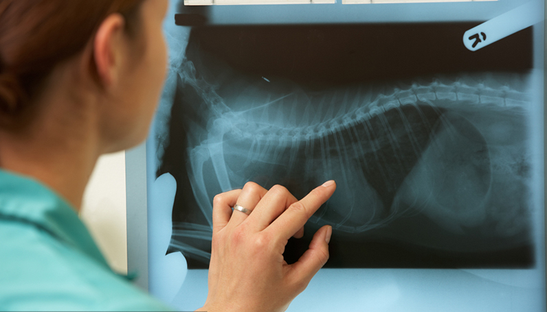 918������(�й���)�콢��