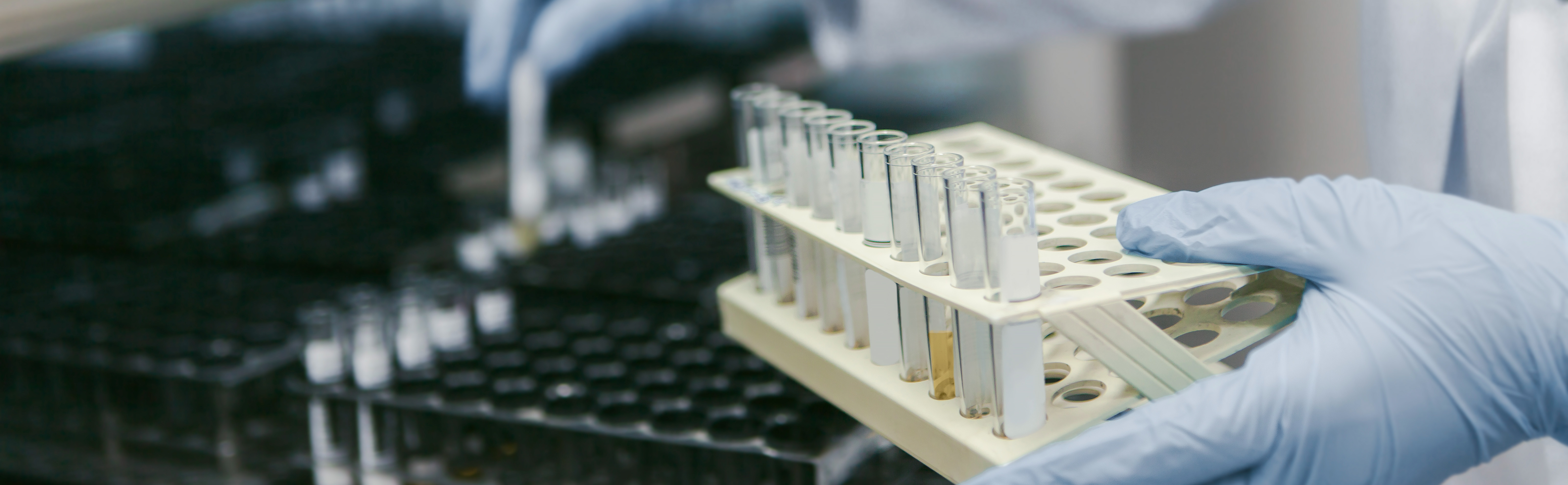 918������(�й���)�콢��