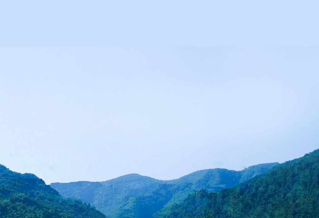 918������(�й���)�콢��